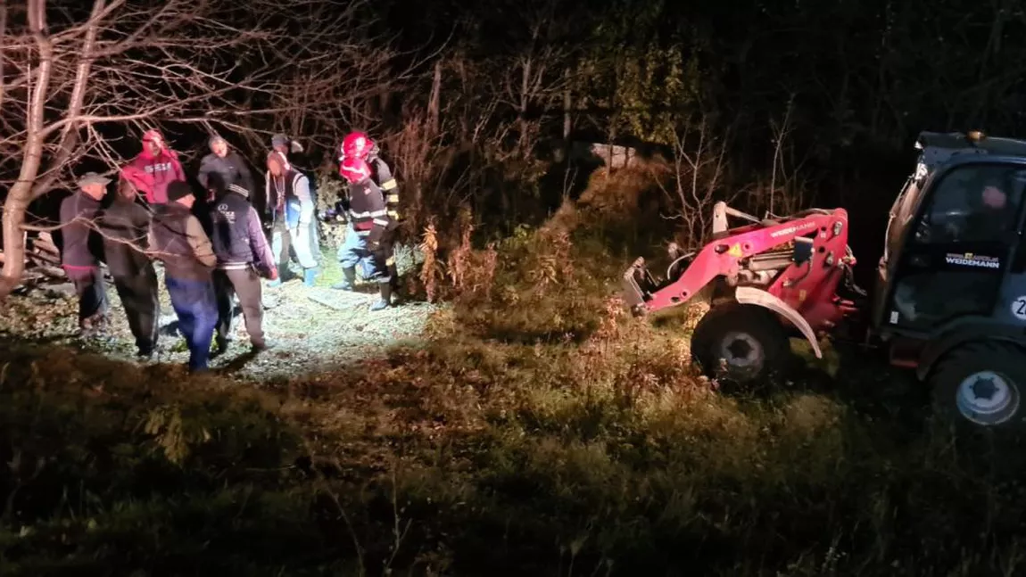 Un cal a fost salvat de pompierii ieșeni dintr-un canal. Animalul a fost scos în viață - FOTO