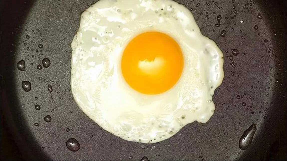 Calorii ou prăjit. Cum poate fi folosit un calorimetru?