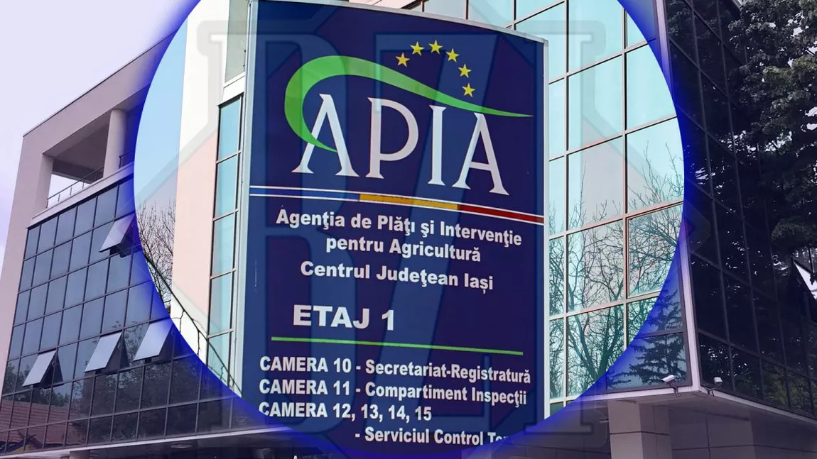 APIA a făcut noi plăți către fermierii din Iași. Valoarea subvențiilor virate în conturile beneficiarilor a ajuns la 60 de milioane de euro