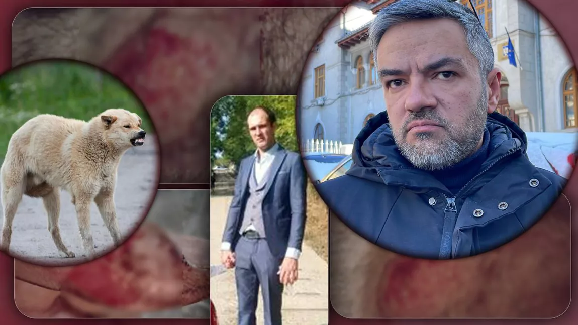 Bărbat atacat de nouă câini în comuna Rediu. „Dacă era un copil în locul meu, cred că era mort”. Dezinteres total din partea primarului Ciprian Grosu - FOTO