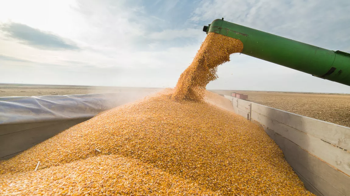 Exporturile de cereale din Ucraina vor copleși România, după ce Ungaria și Polonia au luat măsuri drastice