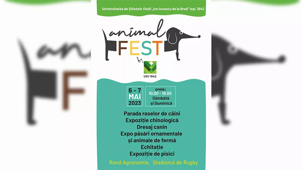Deschiderea oficială Animal Fest 2023, la Iași. Iată programul evenimentului 