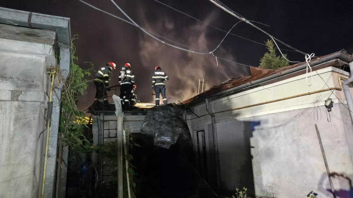 Incendiu în municipiul Iași. Mai multe locuințe s-au aflat în pericol din cauza unor crengi ce au luat foc - GALERIE FOTO, VIDEO