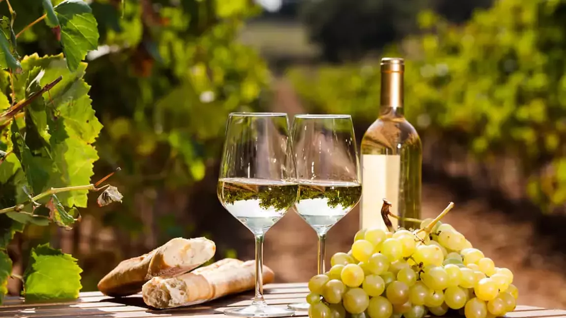 Ce este un vin biodinamic? Cum are loc plantarea și recoltarea strugurilor pentru a obține acest tip de băutură