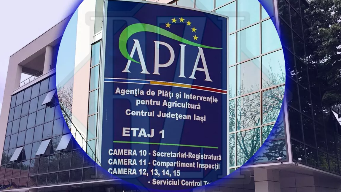 Ce au găsit inspectorii APIA la fermele din Iași, verificate până acum! Controalele continuă până la finalul lunii septembrie 2023