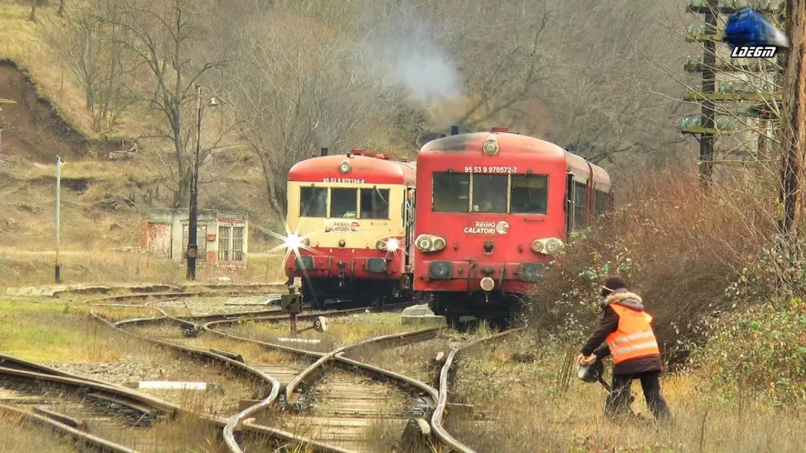 Pasagerii Regio Călători au fost nevoiți să se descurce singuri după ce trenul s-a defectat