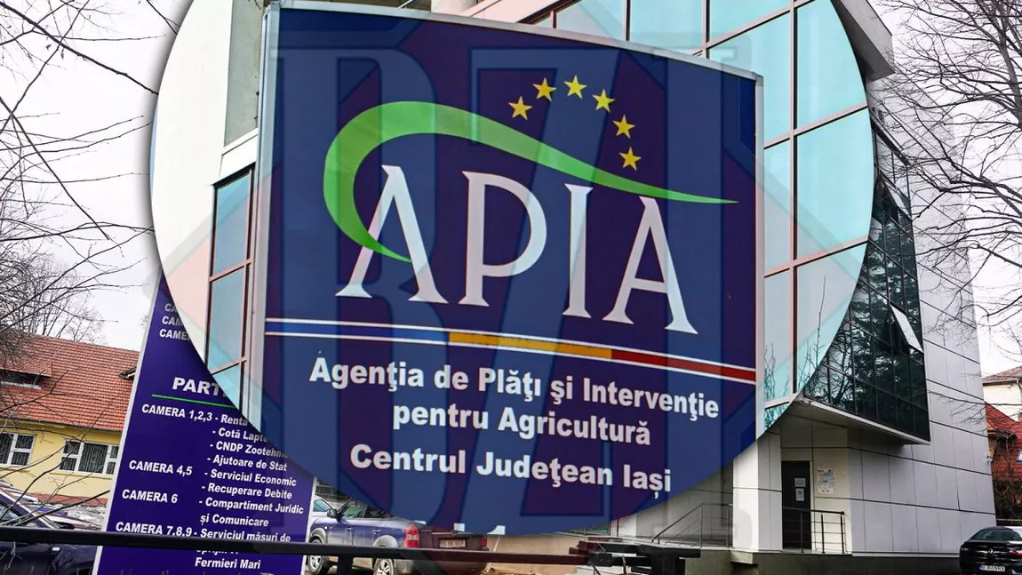 Avansul din subvenții pentru anul 2023, în conturile fermierilor din Iași. Suma plătită de APIA este mai mică