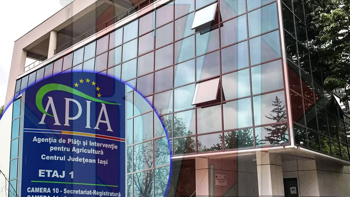 APIA continuă plățile către fermierii din Iași. Subvențiile finale, în conturile beneficiarilor care au primit peste un milion de euro