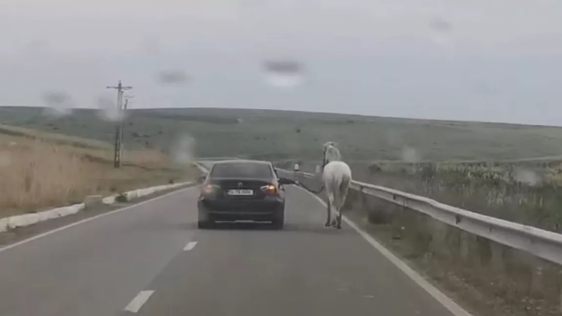 Așa ceva rar ți-e dat să vezi! Un cal a fost priponit de un BMW care este condus pe străzile din Iași. Animalul este obligat să țină pasul - VIDEO