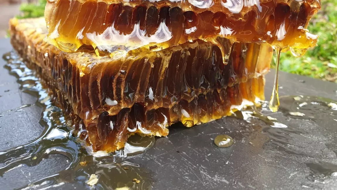Consumă fagure de miere pentru o sănătate de fier! Ce proprietăţi superioare are acest produs apicol