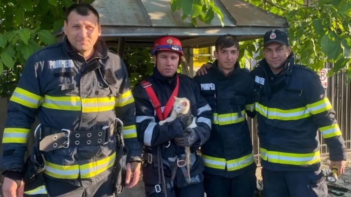 Un motan a fost salvat de către pompieri, după ce a căzut într-o fântână adâncă de 10 metri, în Botoșani. Animalul dispăruse de acasă de o lună