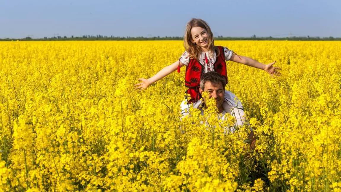 Te pozezi în lanul de rapiță? Iată ce amendă riști potrivit Codului Rutier