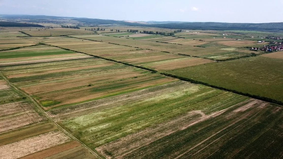 Suprafețe mici de terenuri agricole, vândute cu peste 50.000 de euro pe hectar, la Iași. Cine cumpără?