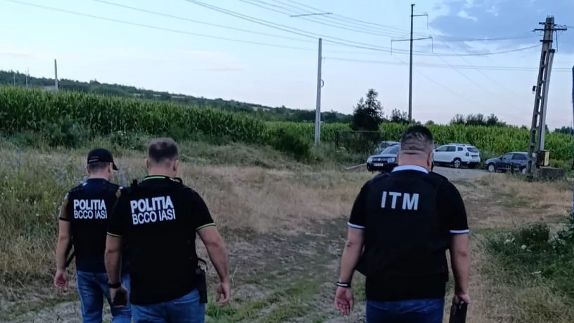 Imagini de la descinderile anului de la Iași! Inspectorii ITM au intervenit în forță, cu tot cu mascații de la Poliție