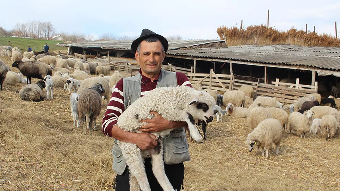 Lovitură dată de ANSVSA pentru micii producători din România! Nu mai au voie să vândă produsele în țară