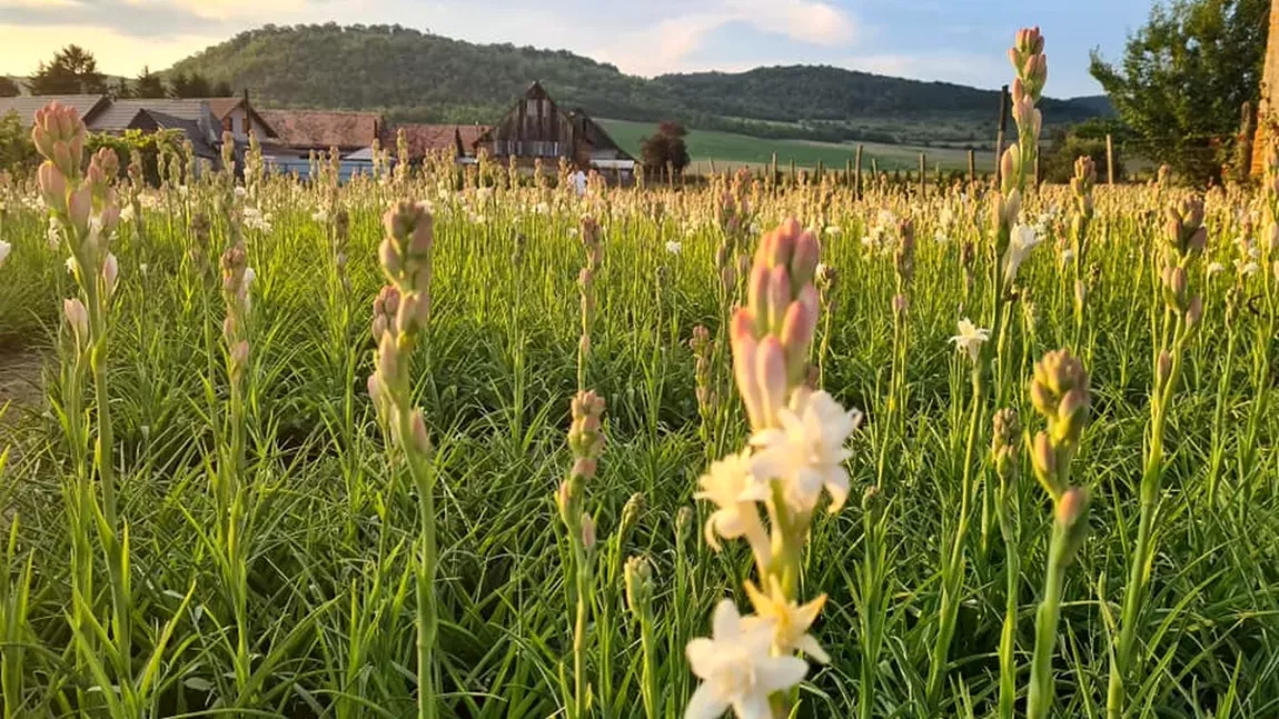 Acesta este cel mai vizitat sat din România toamna. Iată ce secret ascunde