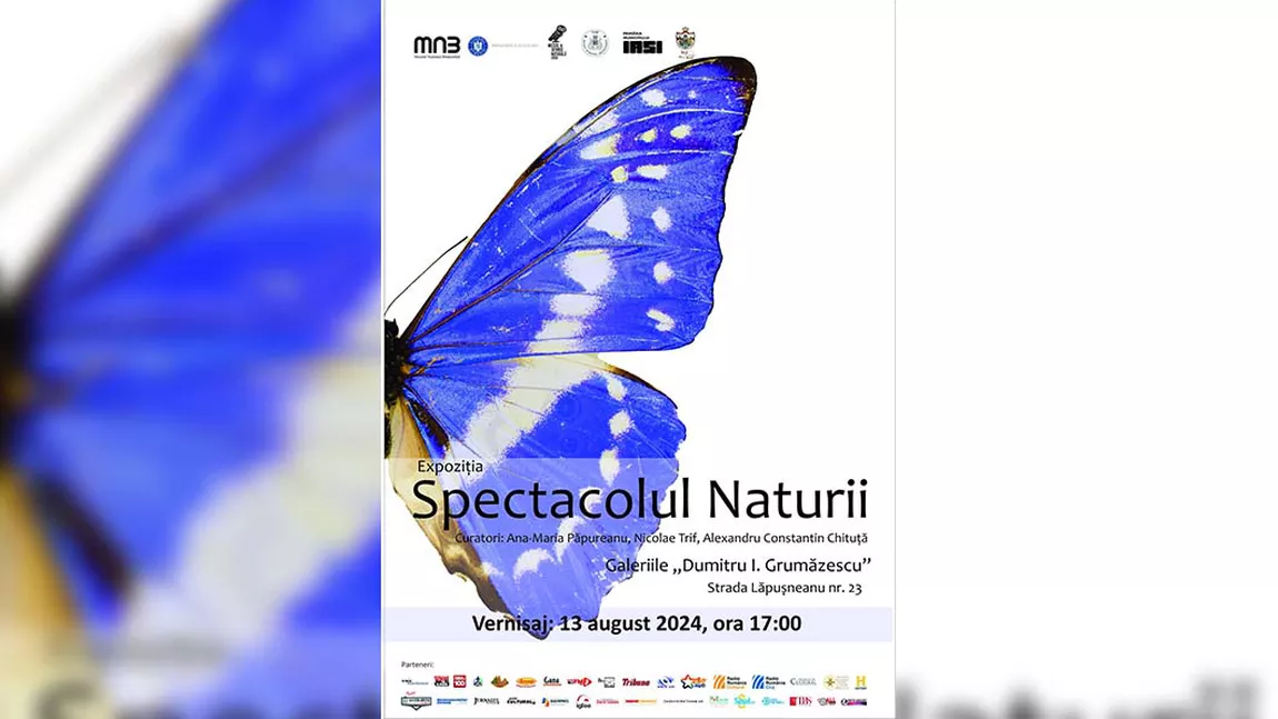 „Spectacolul Naturii”, expoziție organizată la Galeriile „Dumitru I. Grumăzescu” Iași