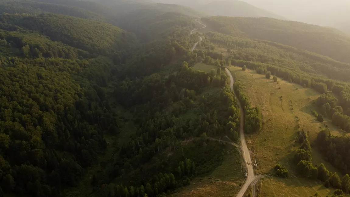 Toți șoferii vor să meargă pe această stradă din România. Conducătorii auto rămân fără cuvinte când ajung aici