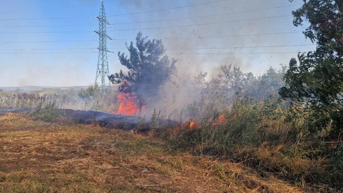 Incendiu de vegetație la Probota. Pompierii luptă cu flăcările - FOTO, VIDEO, UPDATE