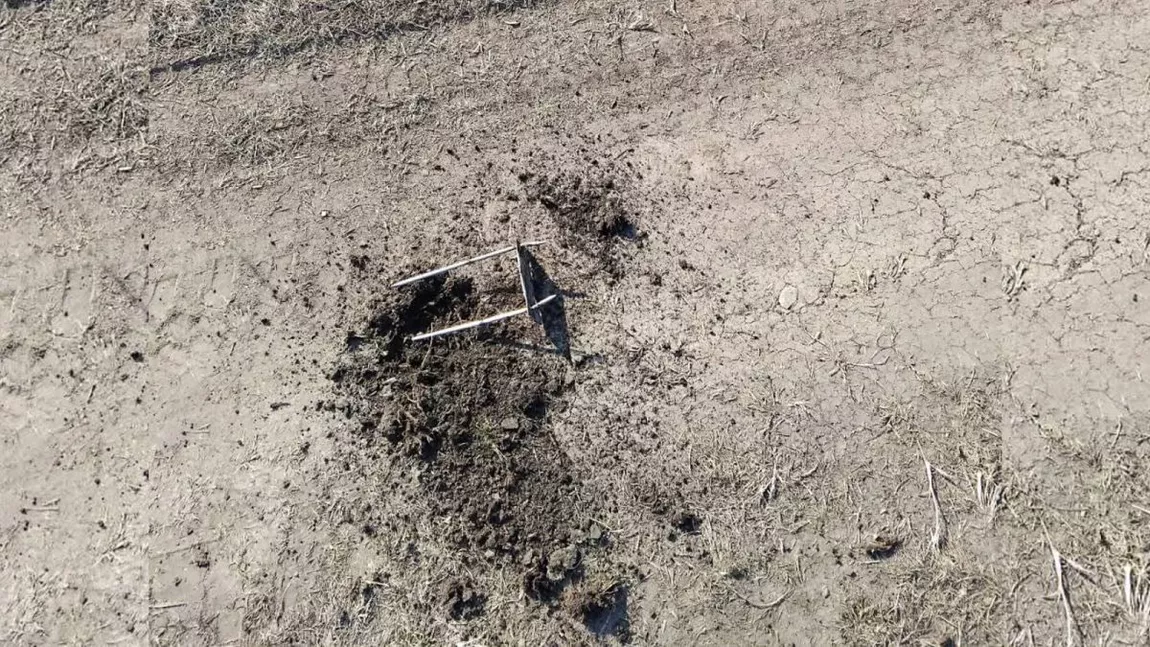 Capcane periculoase, montate pe un drum din Iași! Șoferilor nu le-a venit să creadă când au făcut descoperirea: „Probabil au fost puse de braconieri”