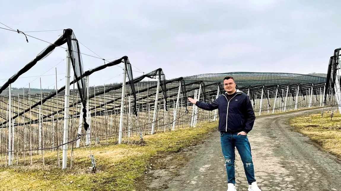 De la livadă la imperiu al fructelor: Cum un tânăr sucevean a transformat pasiunea pentru horticultură într-un business de succes
