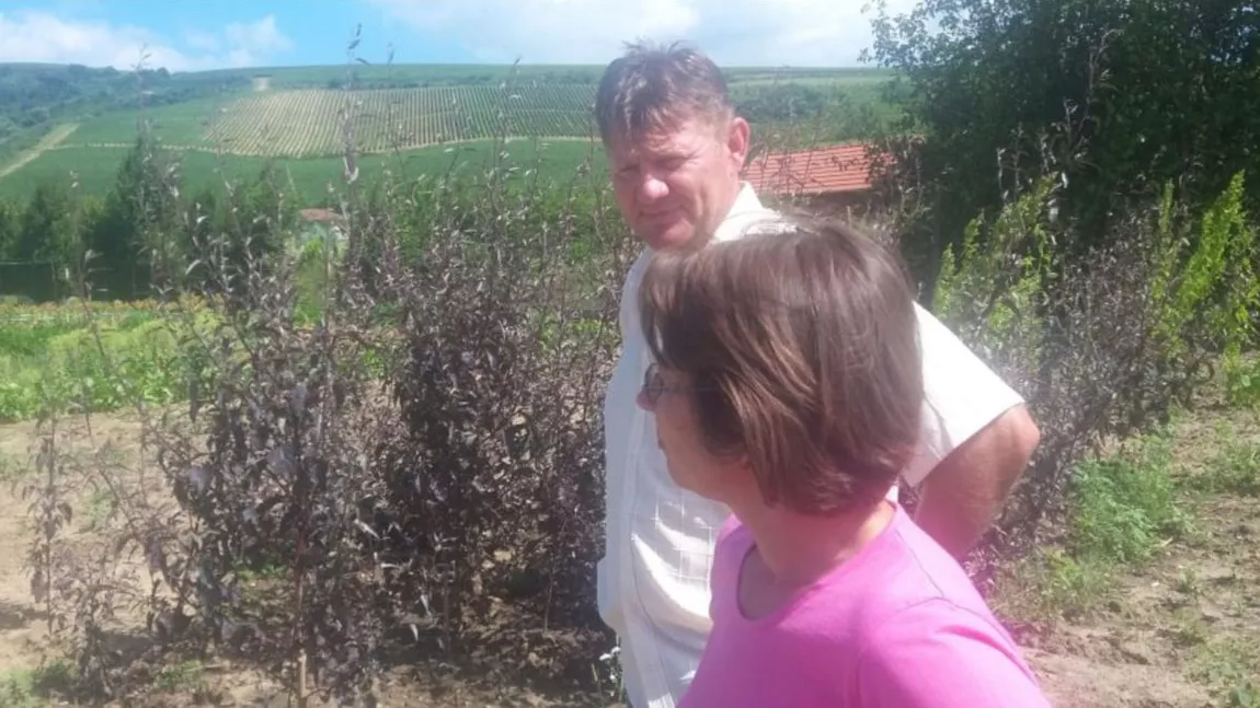 O familie a pus la punct o afacere bănoasă cu mirodenii. Această îndeletnicire le aduce venituri substanțiale
