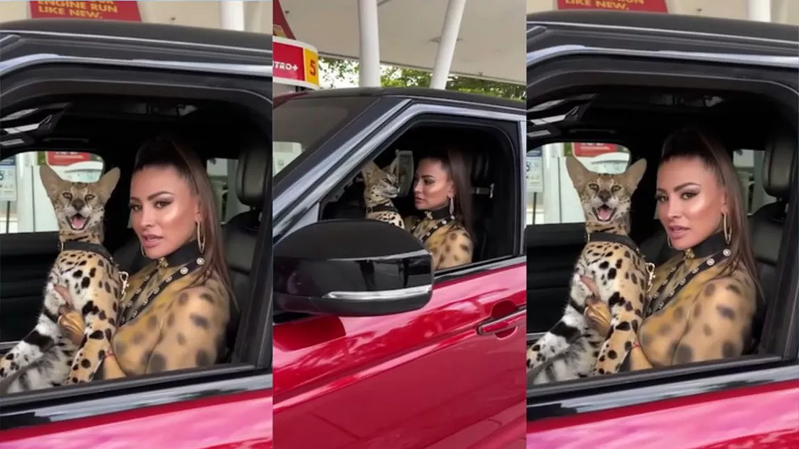 Model PlayBoy, surprinsă în tanga și pictată în leopard! Toată lumea a filmat-o!