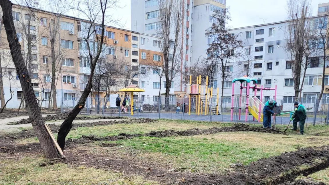 A început montarea rulourilor de gazon în cartierele din municipiul Iași! Iată care sunt zonele unde se lucrează