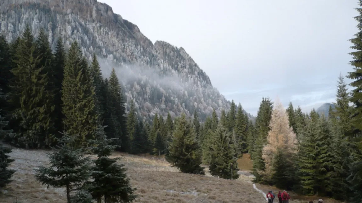 Traseu montan Bucegi: Busteni - Caminul Alpin - Poiana Costilei - Poiana Pichetul Rosu - La Prepeleac - Cabana Malaiesti