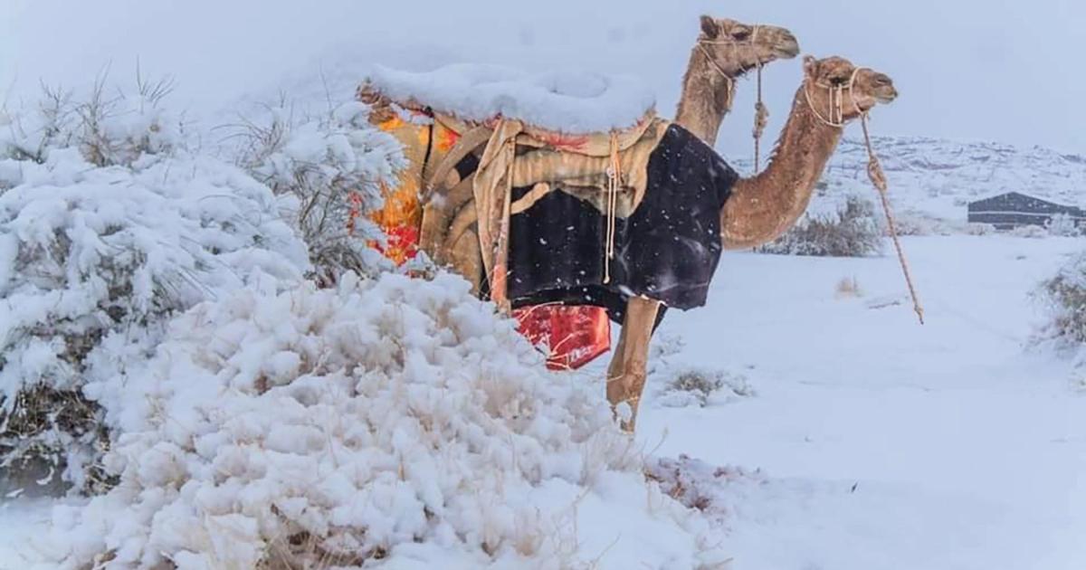 A nins în deșertul Sahara! Cel mai fierbinte loc al planetei, acoperit de zăpadă - FOTO/ VIDEO