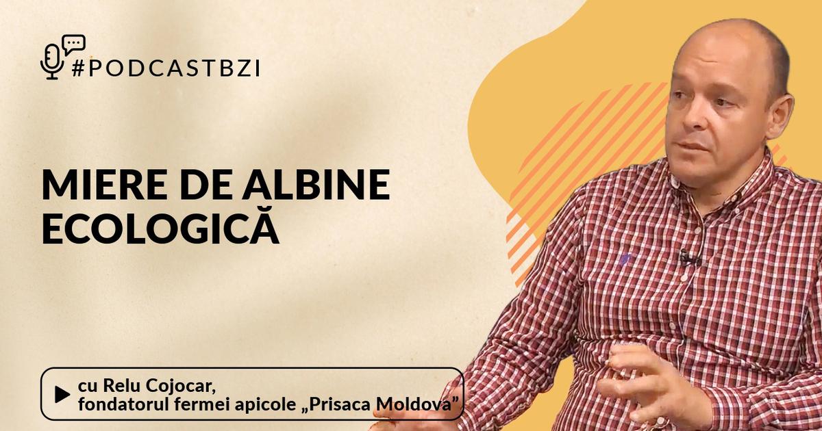 LIVE VIDEO - Relu Cojocar, fondatorul fermei apicole „Prisaca Moldova ...
