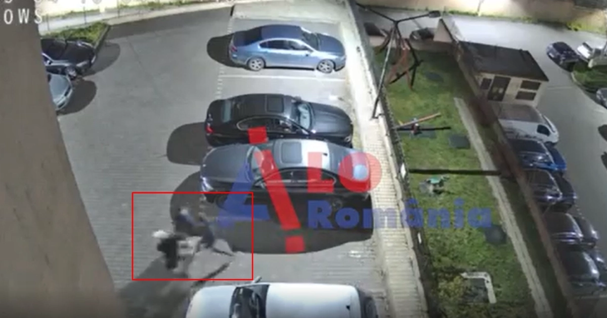 Percheziții la Iași: Patru bărbați prind o căprioară și o ascund în portbagaj