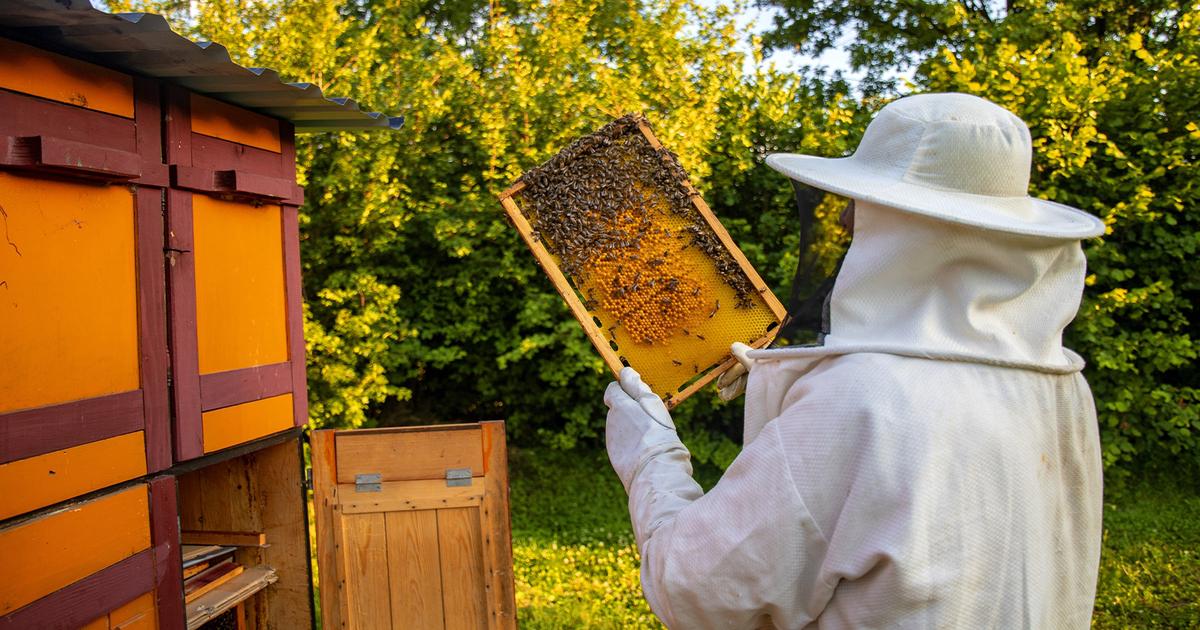 Termen limită pentru fermieri: documentele necesare pentru a încasare fondurilor de la stat.