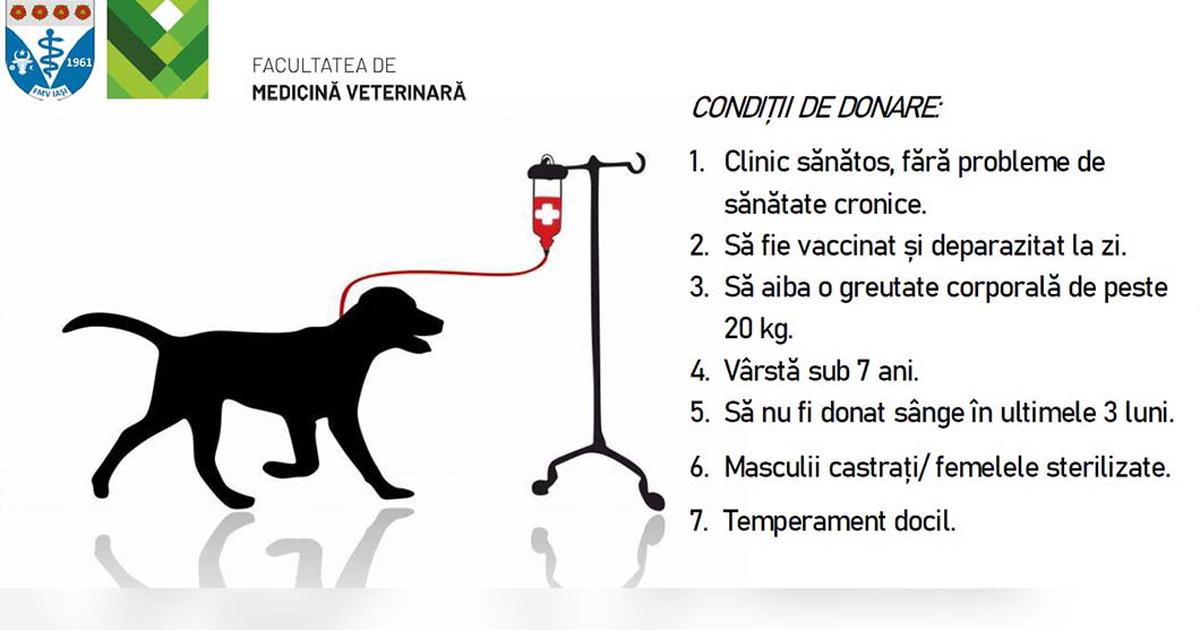 Facultatea de Medicină Veterinară Iași solicită câini donatori de sânge pentru intervenții de urgență.