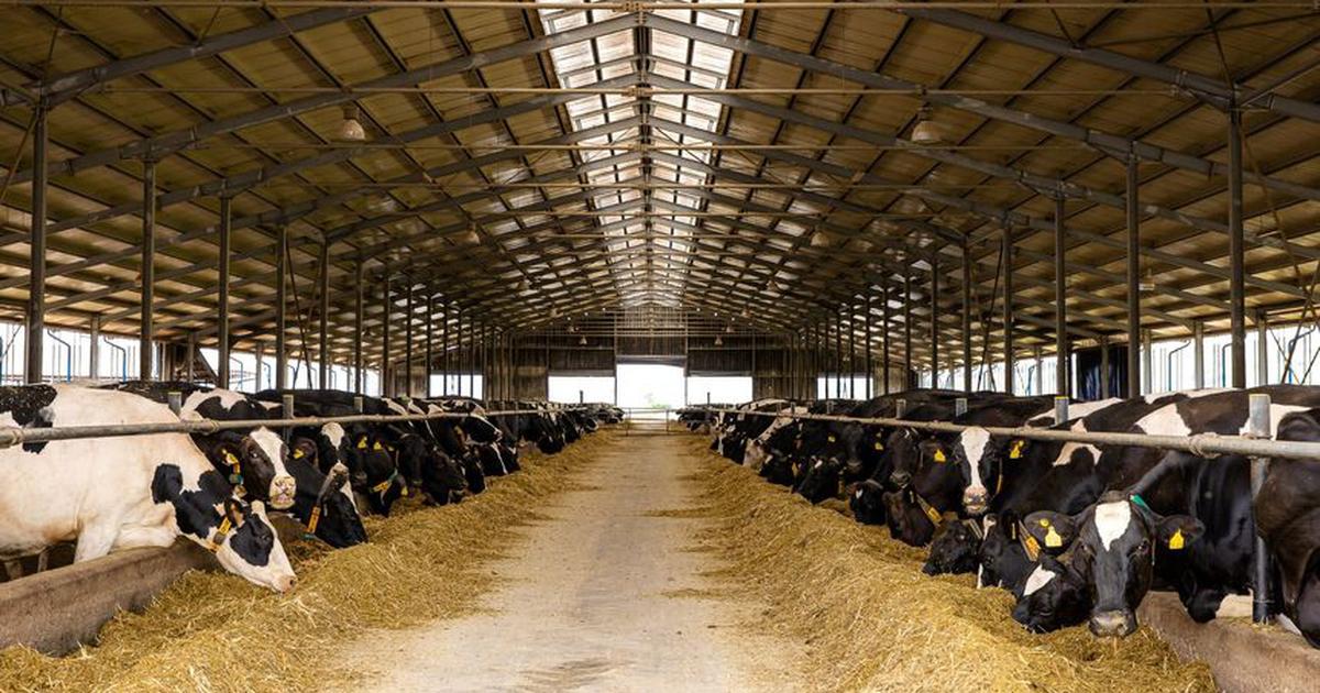 „Lipsa de surprize în România: o realitate cotidiană” • Buna Ziua Iasi • BZI.ro