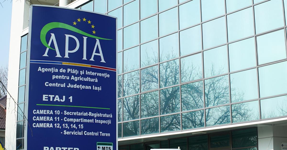 APIA va efectua noi plăți pentru fermierii din Iași din subvențiile anului de cerere 2025.