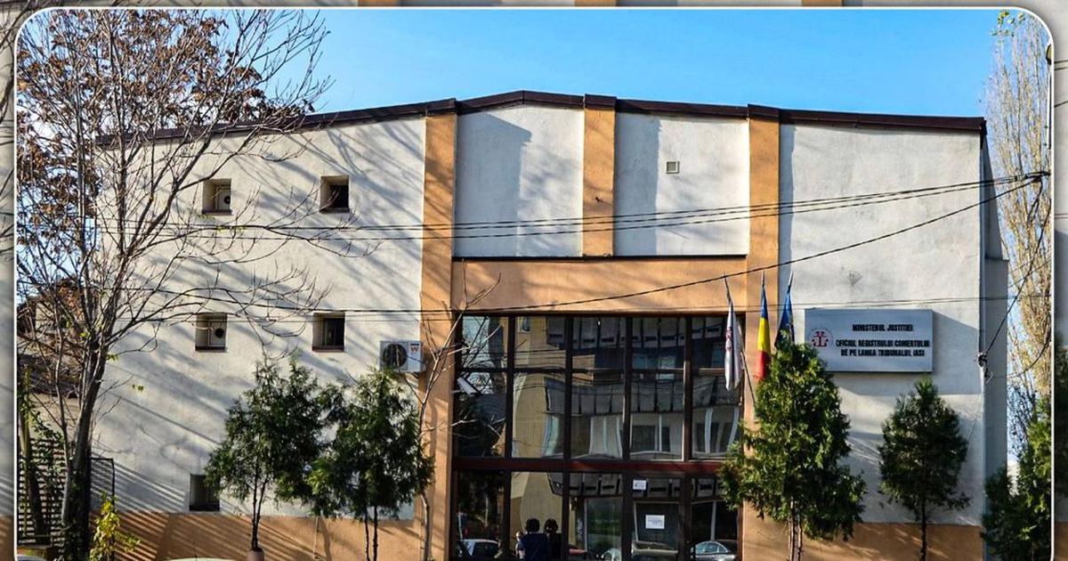 Controale la lemnarii din zona Dornei: 82 de sancțiuni, peste 74.000 de lei amenzi și 20,9 metri cubi de lemn confiscat