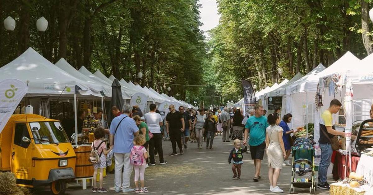Controale la lemnarii din zona Dornei: 82 de sancțiuni, peste 74.000 de lei amenzi și 20,9 metri cubi de lemn confiscat