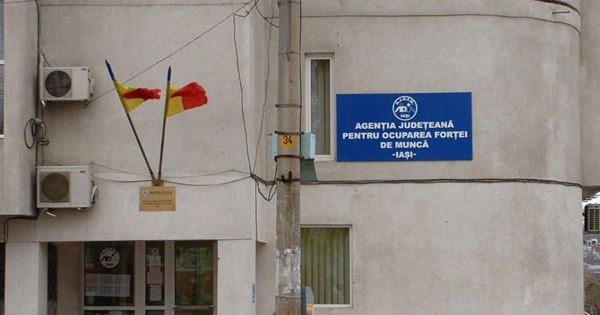 Amendă de 6.000 de lei pentru transportul a peste 3 metri cubi de lemn fără aviz, la Pojorâta