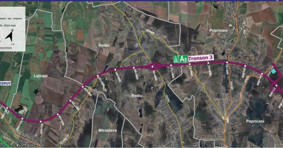 Amendă de 6.000 de lei pentru transportul a peste 3 metri cubi de lemn fără aviz, la Pojorâta
