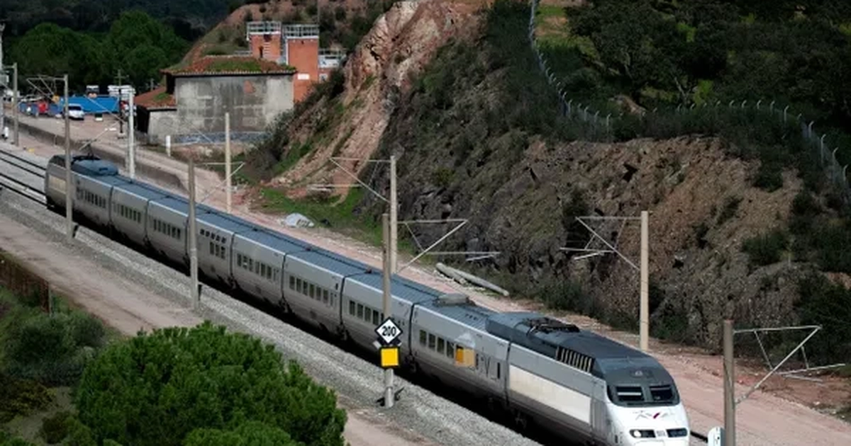 Amendă de 6.000 de lei pentru transportul a peste 3 metri cubi de lemn fără aviz, la Pojorâta