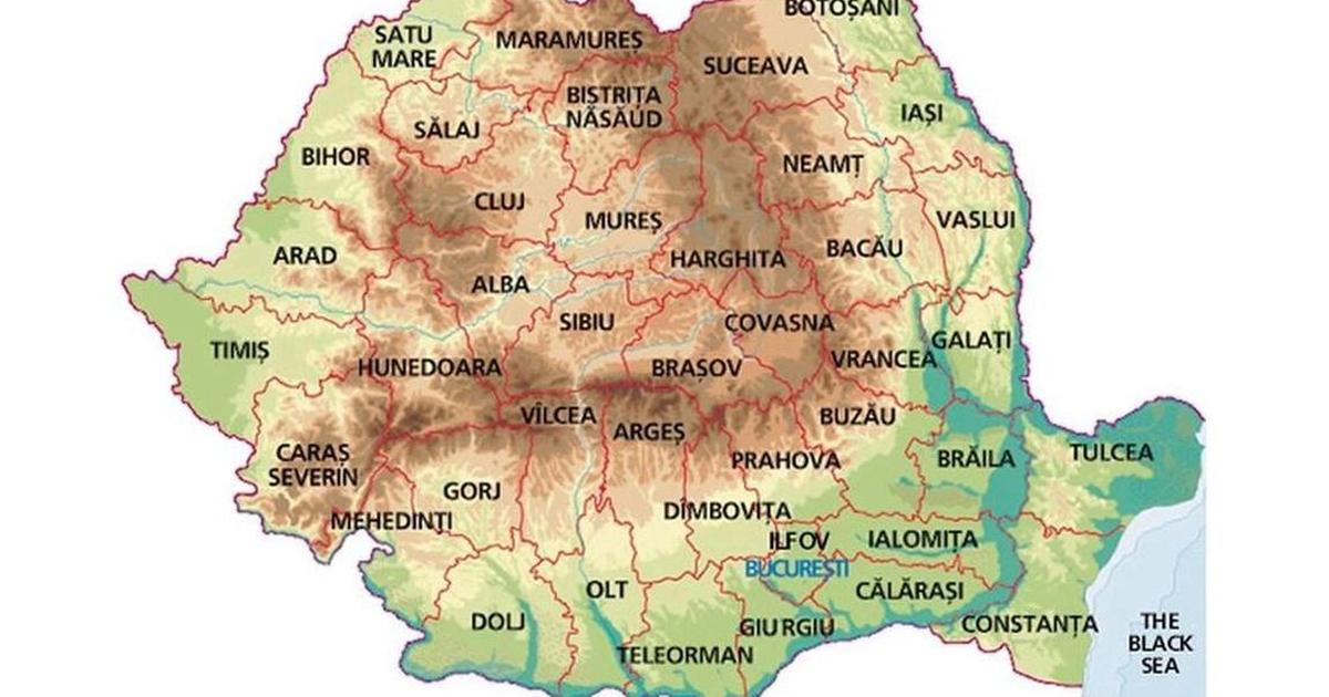 Controale la lemnarii din zona Dornei: 82 de sancțiuni, peste 74.000 de lei amenzi și 20,9 metri cubi de lemn confiscat