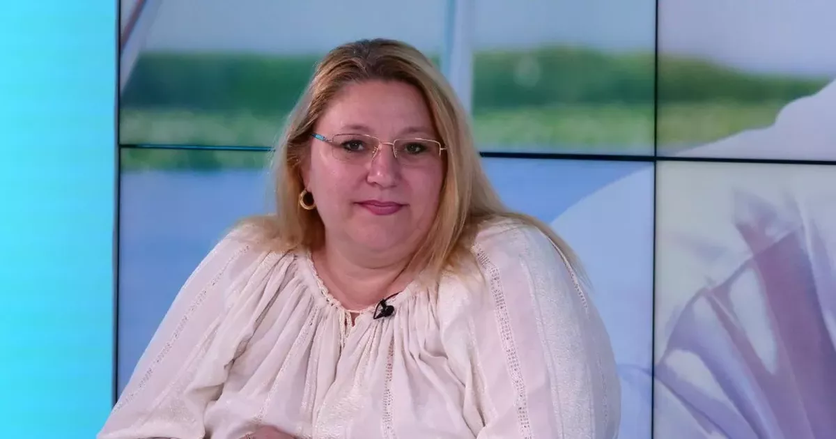 Diana Șoșoacă, componenţa şi organizarea Guvernului României după