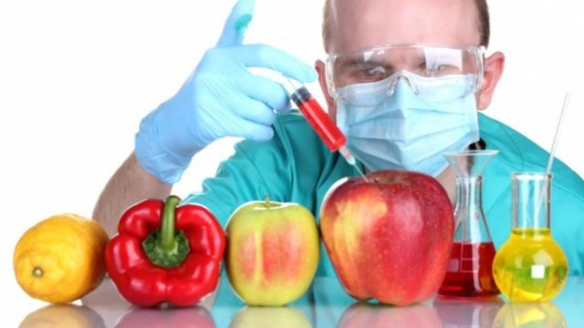 organisme_modificate_genetic.jpg
