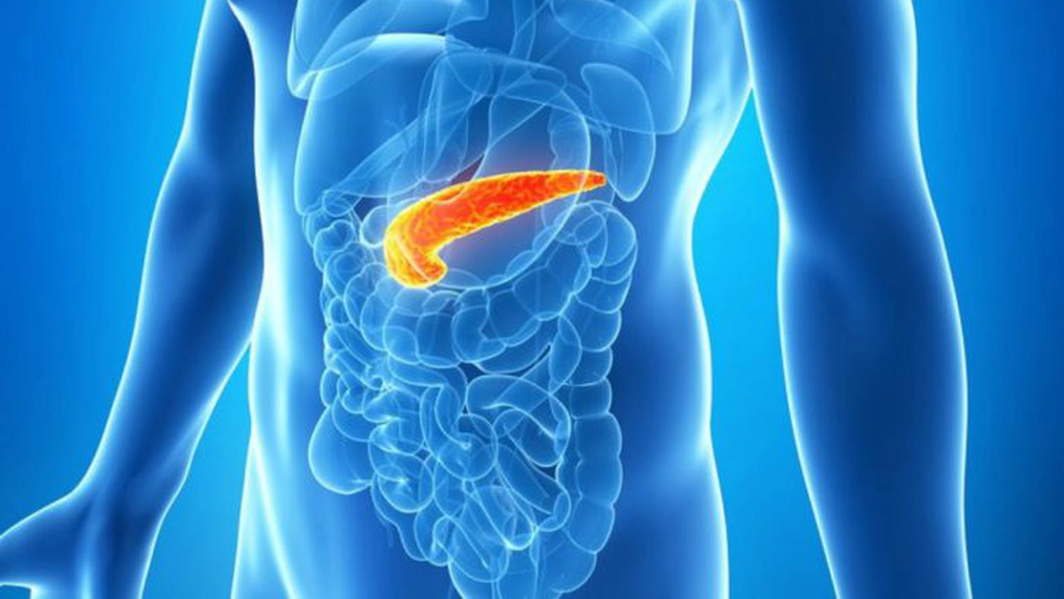 pancreas inflamat