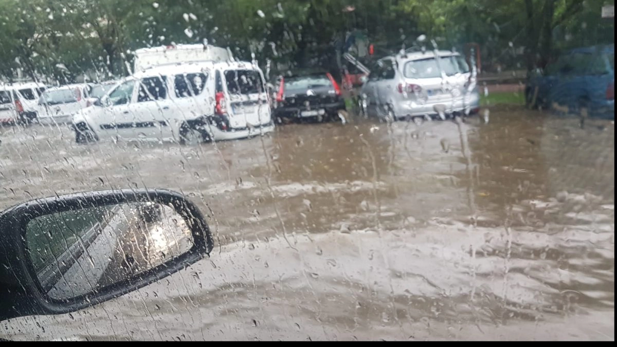 Cod portocaliu de vreme rea