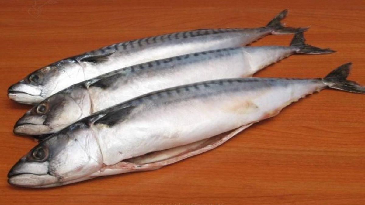 macrou