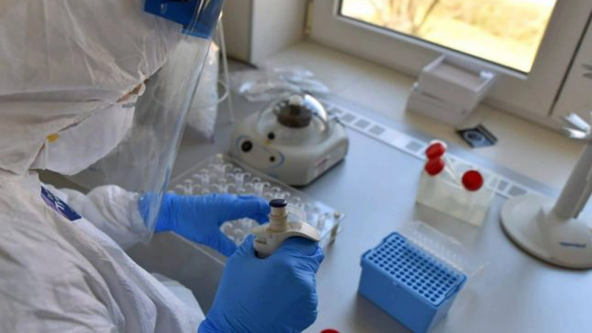 coronavirus