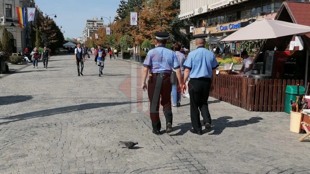 politisti locali iasi control