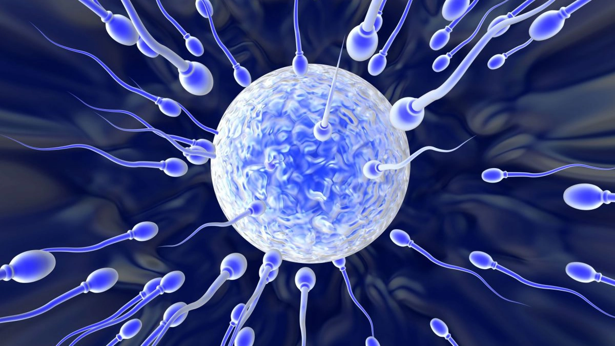 sperma